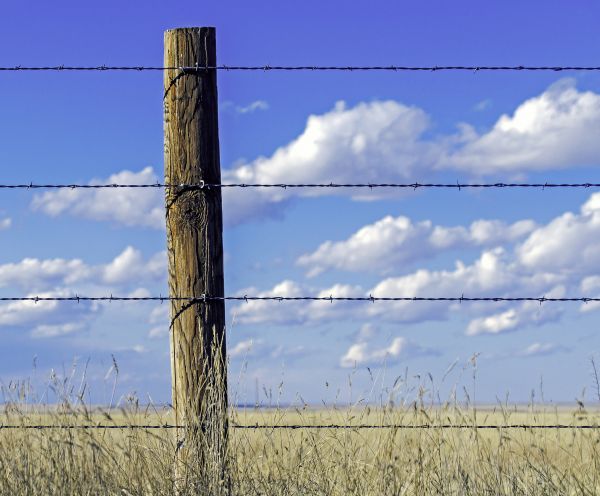 Cattle Fence Installation